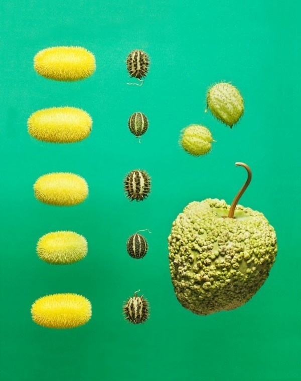 food photography maren caruso 5 #ingredients #photography #conceptual #food