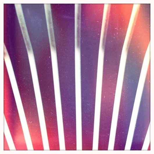Michael Paul Young #photography #colour