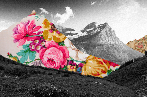 Guy Catling | PICDIT #photo #design #photography #art #flower #collage