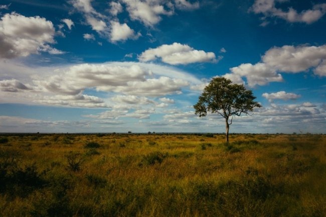 Kruger National Park