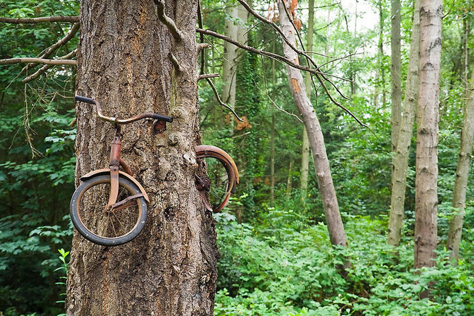 nature-reclaiming-abandoned-places-12 #abandoned #photography