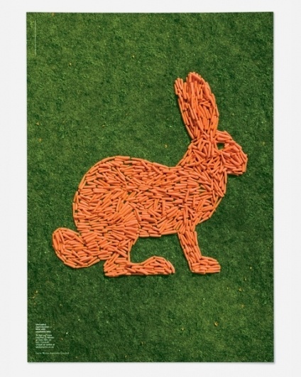 Magpie Studio #carrot #bunny #orange #poster #rabbit #green