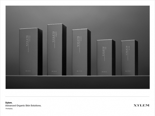 Fashion+Prestige - Dustin Edward Arnold #packaging