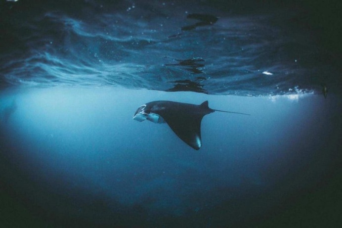 Stunning Early Highlights of The 2017 Sony World Photography Awards