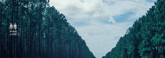 logo tree pine wood grass green forest