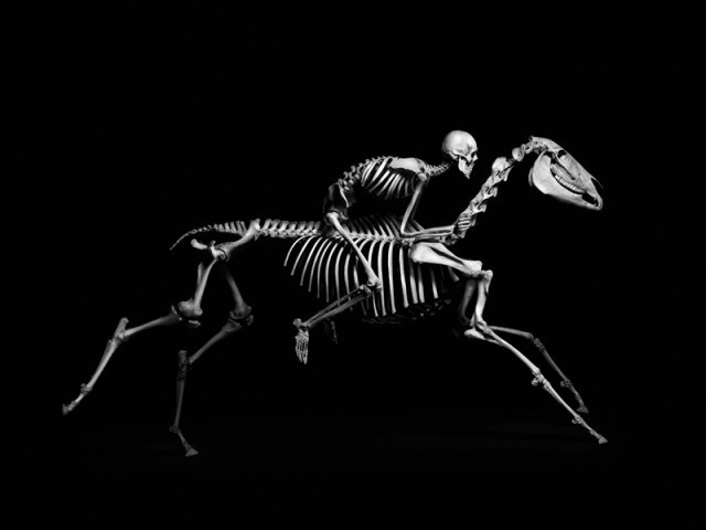 Twibfy #skeleton #horse #gries #human #photography #patrick