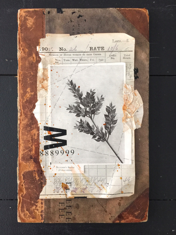 Lee McKenna | PICDIT