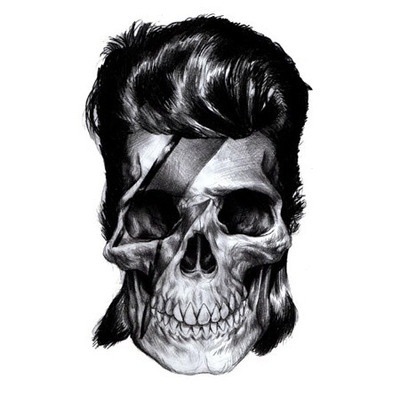 â™¡â™¡â™¡ #illustration #bowie #skull