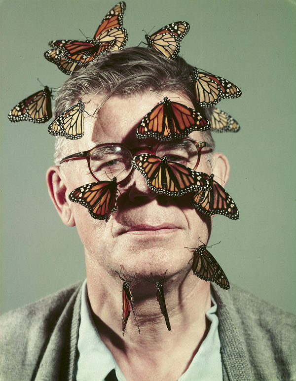 tumblr_mz7lv4rlmq1qzyxjro1_1280.jpg (1120×1444) #butterflies #headshot #portrait #face #weird