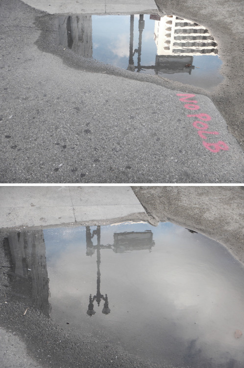 _CA __california ___san diego, puddle PHOTOGRAPHIE © [ catrin mackowski ]
