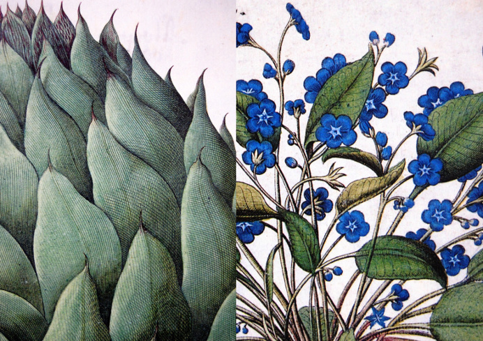floral patterns