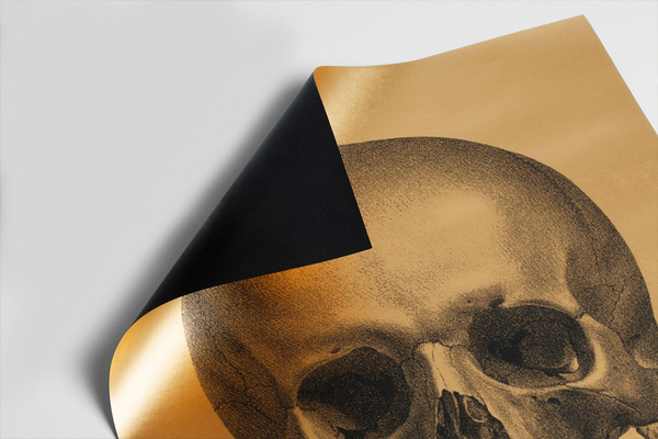 1c.jpg #gold #print #poster #skull
