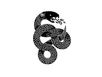 Black Mamba #illustration #snake
