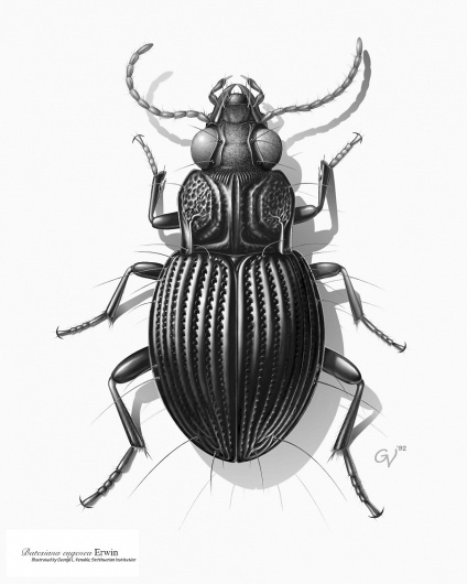 Google Reader (1000+) #bug