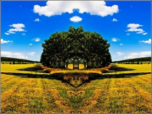 Photography by Thomas Lieser » Creative Photography Blog #photography