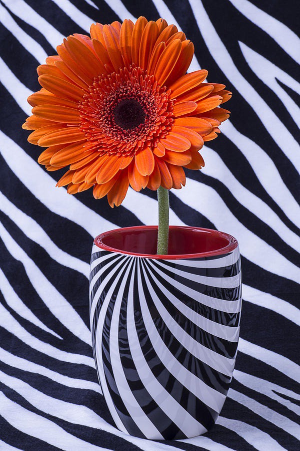 daisy painting & daisy paint by number #painting