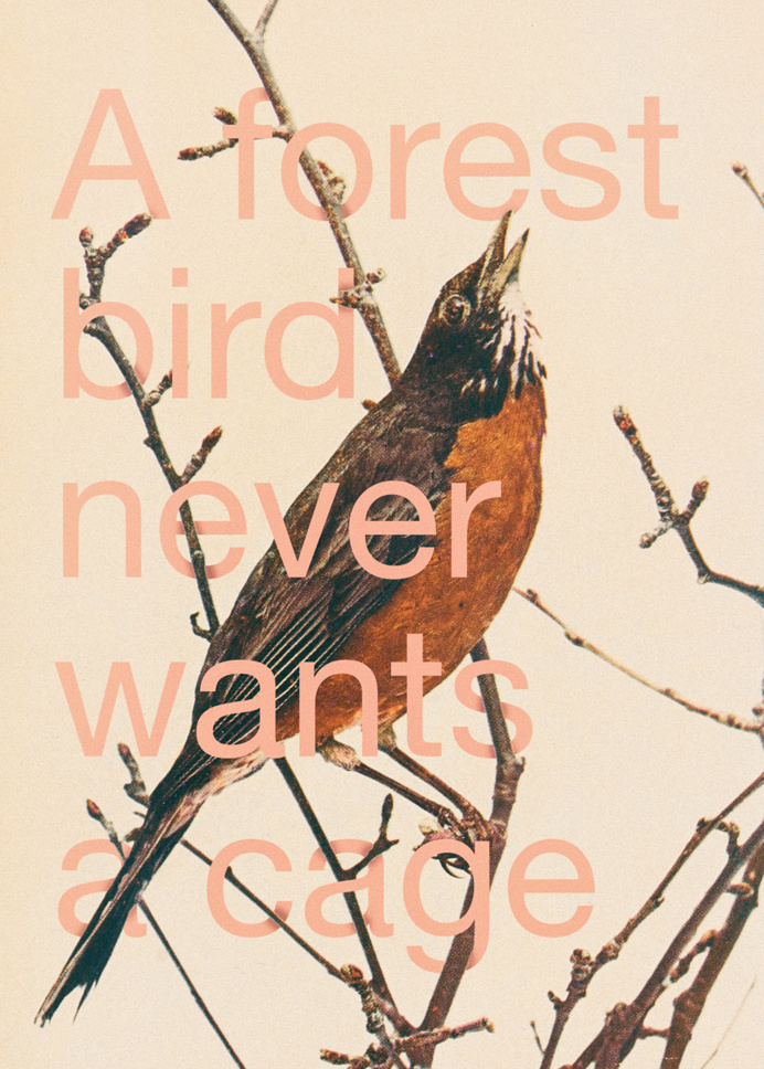 #Poster #bird #forest #branches #cage #quote