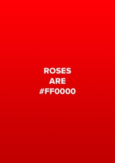 CSS Colours #css #red #roses