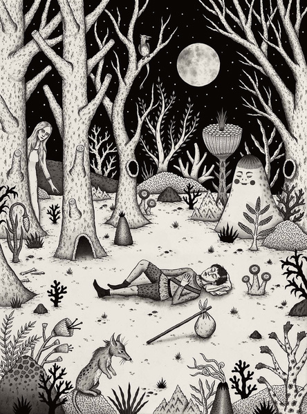 night, woods, camping, fantasy, illustration