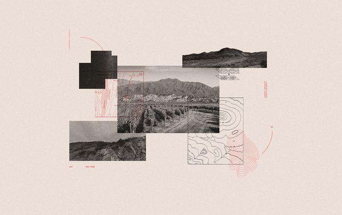 12 Senses. Fincas Las Moras™. Art Book. on Behance