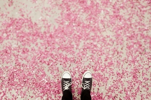All sizes | the Sea of Pink | Flickr - Photo Sharing! #pink #photography