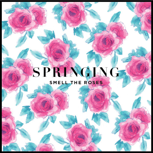 floral album cover #album #flora #painted #floral #roses #spring #watercolor
