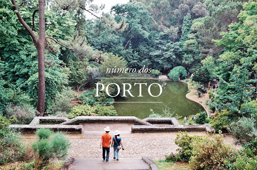 http://modus--vivendi.com/ #35mm #water #plants #garden #travel #journal #landscape #fountain #photography #lake #porto #green