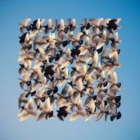 Shaun Kardinal | PICDIT #photo #photography #blue #collage