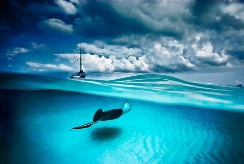 David Doubilet - BOOOOOOOM! - CREATE * INSPIRE * COMMUNITY * ART * DESIGN * MUSIC * FILM * PHOTO * PROJECTS #photography