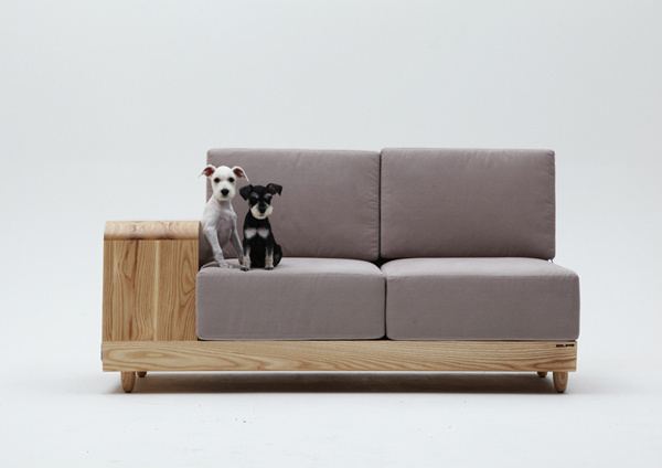 02 #sofa #dogs