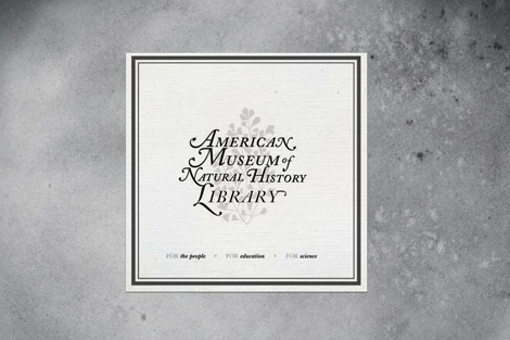 FFFFOUND! | grain edit · Kelli Anderson #history #museum #ke #of #american #natural #library