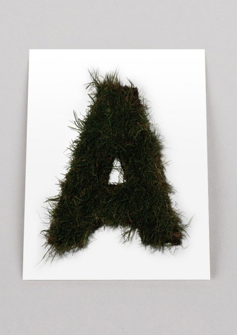 Autobahn grass typo #lettering #typo
