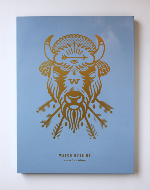 Buffalo1_1020 #arrows #buffalo
