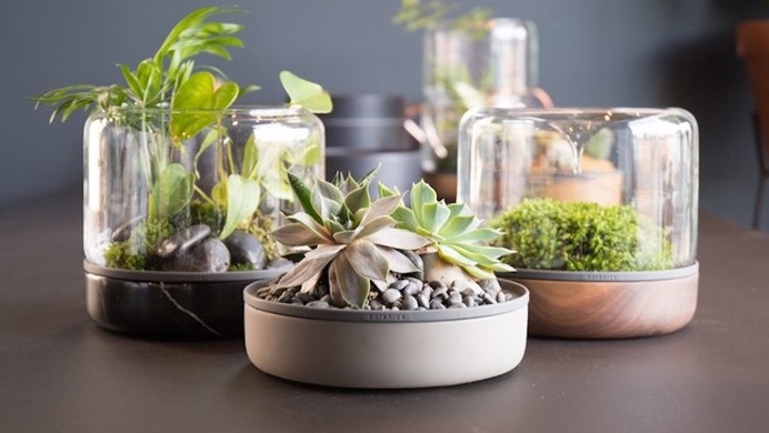 Botanica, an Australian company, made a product called Sanctuary M to hold botanicals in a modular desktop terrarium. The environments of th