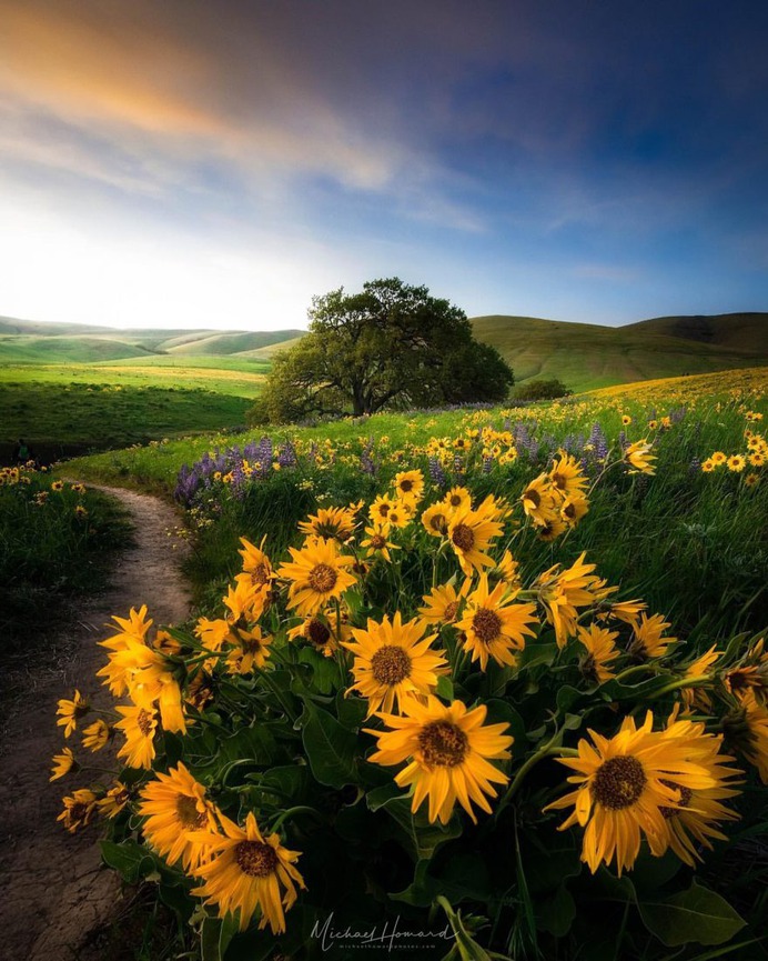 Wonderful Outdoor and Landscape Photography by Michael Howard