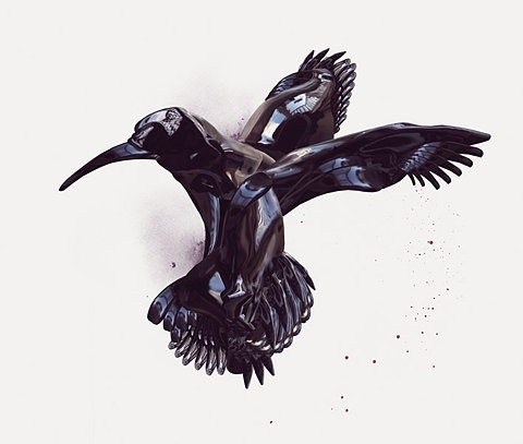 FFFFOUND! | Shotopop | Designcollector #black #bird