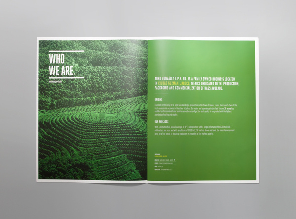 Brochure design idea #173: Avocado Zapotlan Brochure #avocado #mexico #mno #editorial #brochure