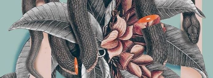 Vintage collage 30x42 cm /// Detail #print #salmon #snake #square #vintage #poster #flower #collage