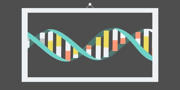 The Double Helix #flat #vector #lines #design #dna #illustration #poster