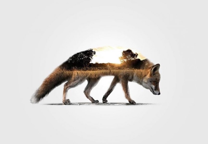 Stunning Double Exposure Photography by Nevess