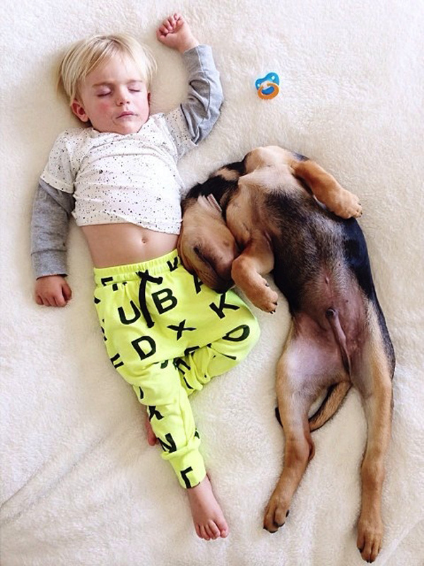 A Naptime Story with Dog and Baby 10 #photography #baby #dog