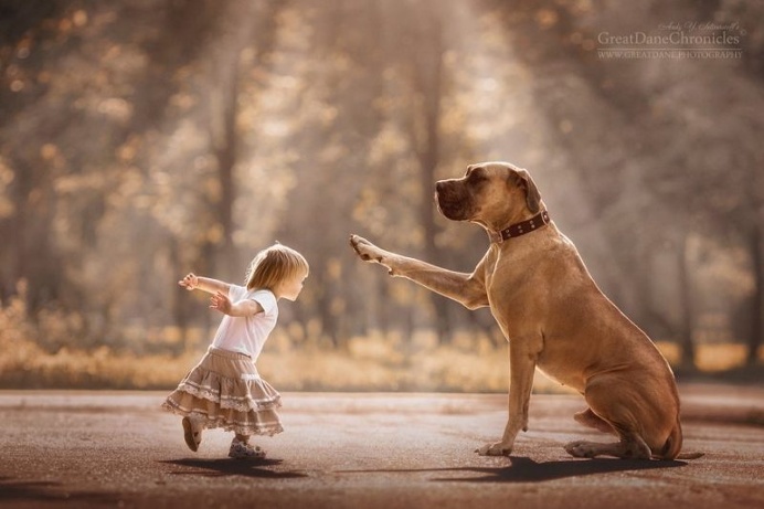 Little Kids And Their Big Dogs by Andy Seliverstoff