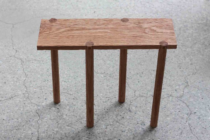 Bark Back by Levi Robb