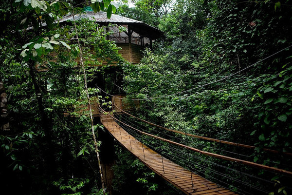 CJWHO ™ (finca bellavista: a sustainable treehouse...) #design #architecture #photography #landscape #tree house #costa rica