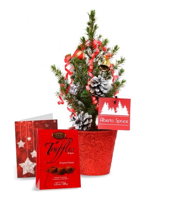 Send Mini Christmas Tree Gift To CANADA