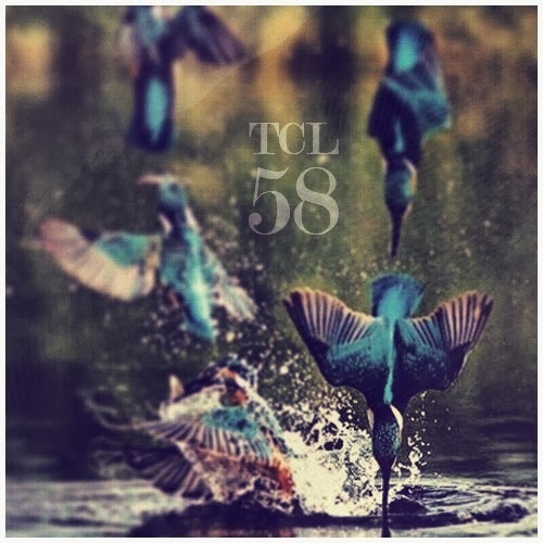 The Collective Loop Playlist-58 Cover Art #playlist #hummingbirds #tcl #nature #cdcoverart #coverart