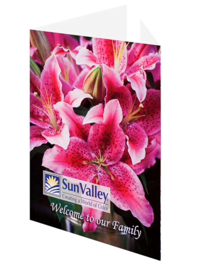 Pink Presentation Folder Design