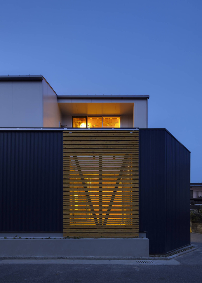 House with a Climbing Wall