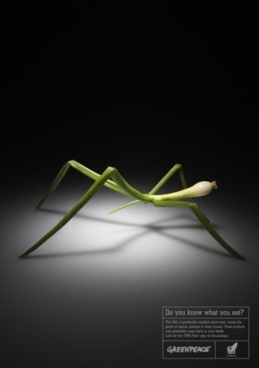 Greenpeace by Tanya Moseeva » Creative Photography Blog #creative #photography #advertising