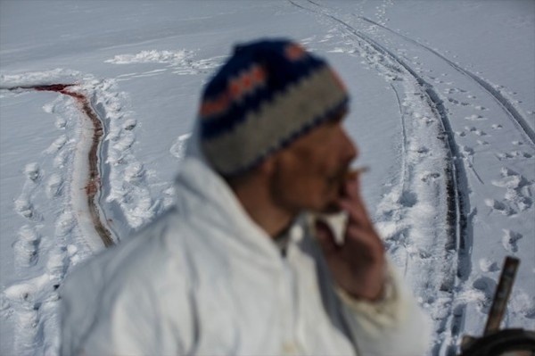 Greenland 9 #photography #greenland